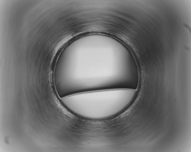 X0000101411029200807071001