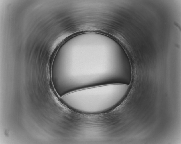 X0000101411030200807071001