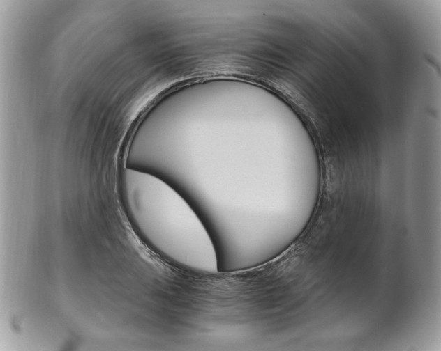 X0000101411031200807071001