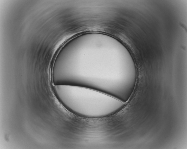 X0000101411032200807071001