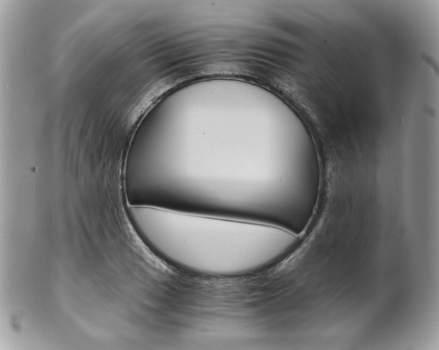 X0000101411033200807071001