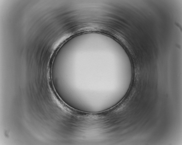 X0000101411034200807071001