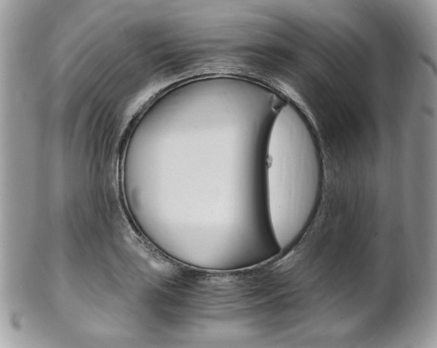 X0000101411035200807071001