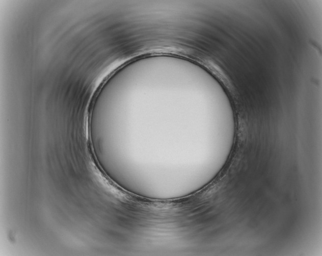 X0000101411036200807071001