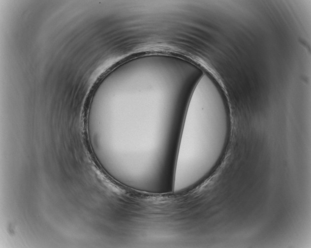 X0000101411037200807071001
