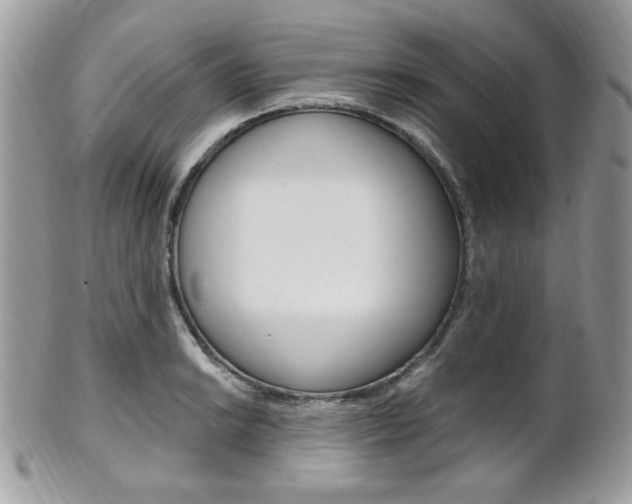 X0000101411038200807071001