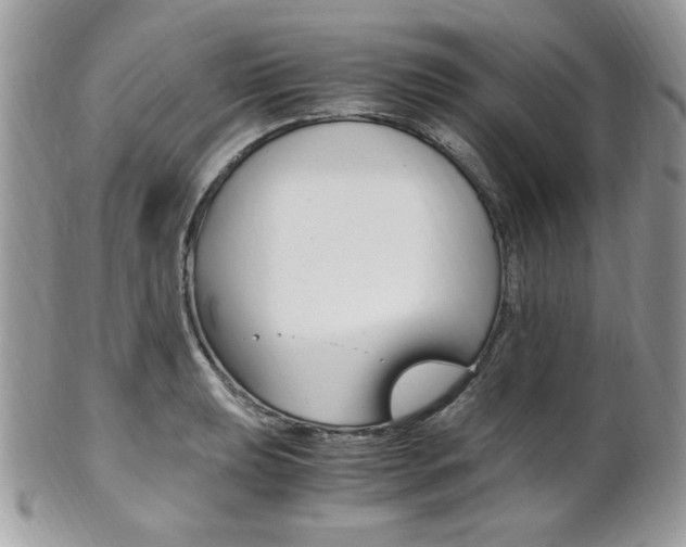 X0000101411039200807071001