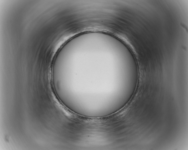 X0000101411040200807071001