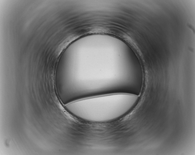 X0000101411041200807071001
