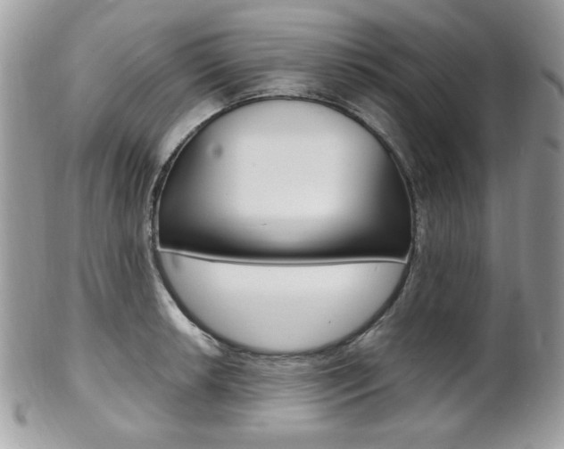 X0000101411042200807071002