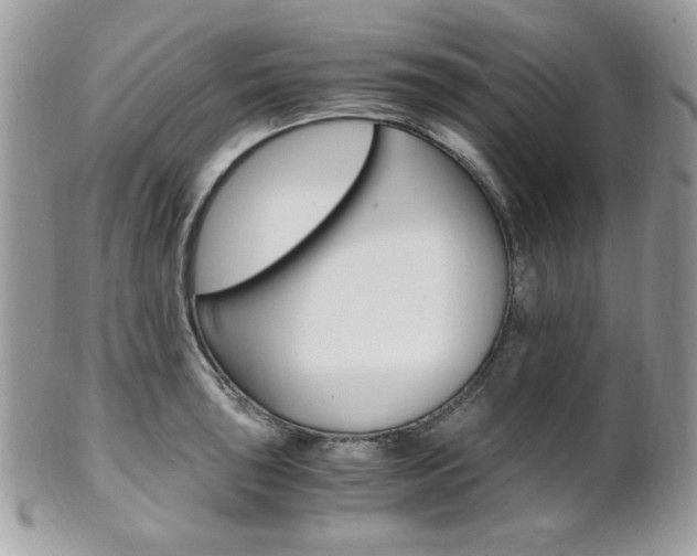X0000101411043200807071002