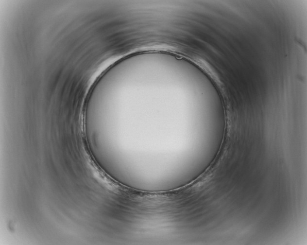 X0000101411044200807071002