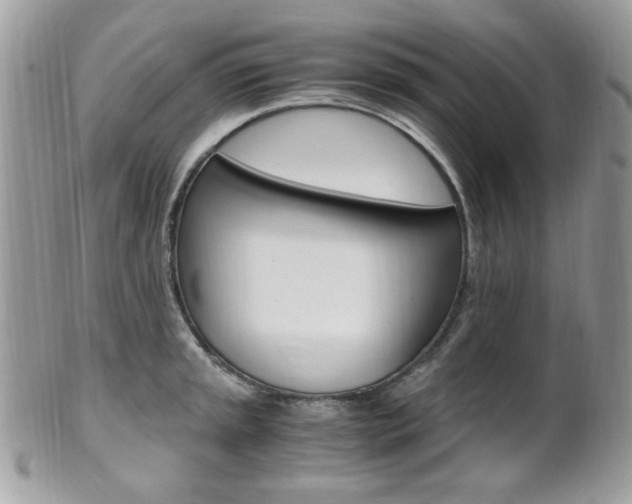 X0000101411045200807071002