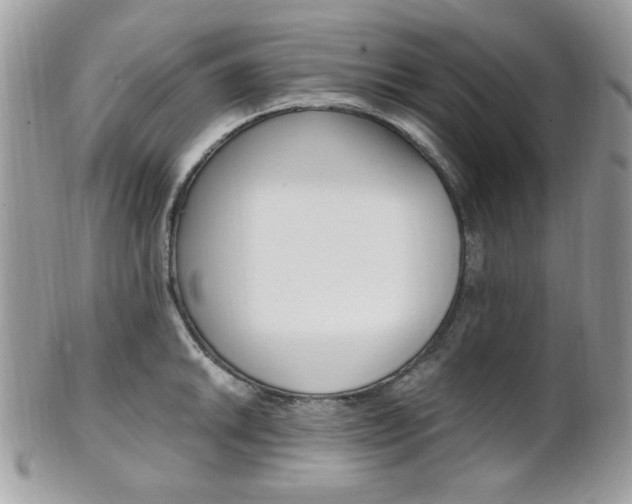 X0000101411046200807071002
