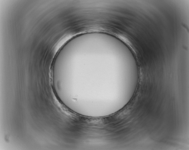 X0000101411047200807071002