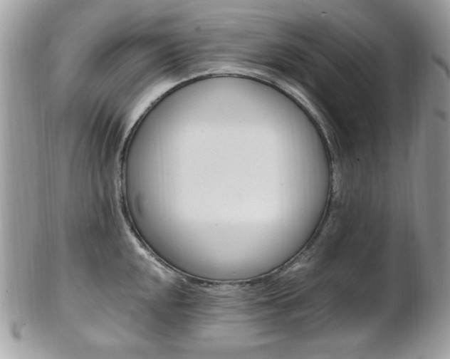 X0000101411048200807071002