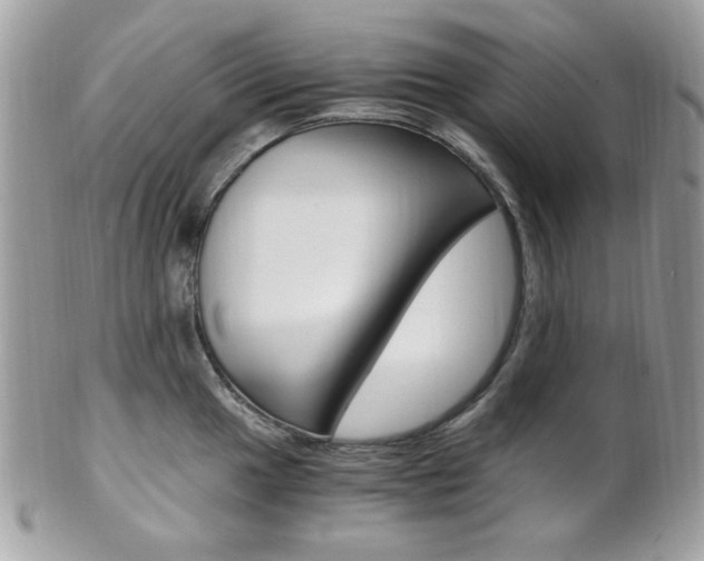 X0000101411049200807071002