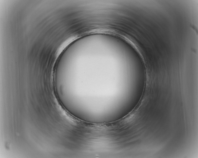 X0000101411050200807071002