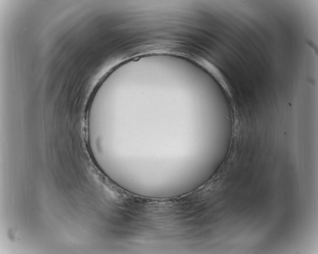 X0000101411051200807071002