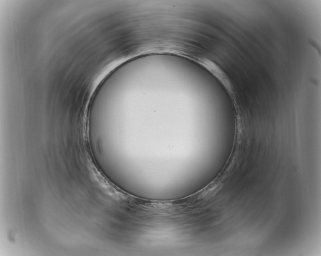 X0000101411052200807071002