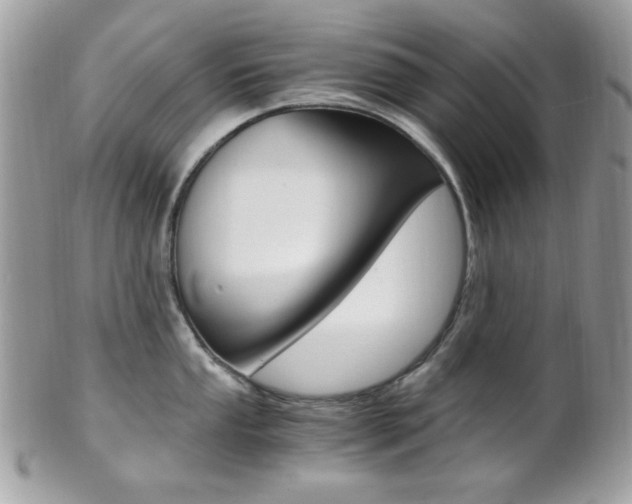 X0000101411053200807071002