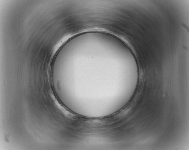 X0000101411054200807071002