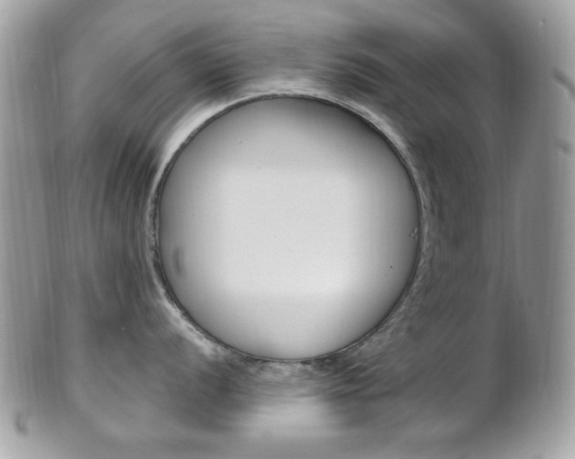 X0000101411056200807071002