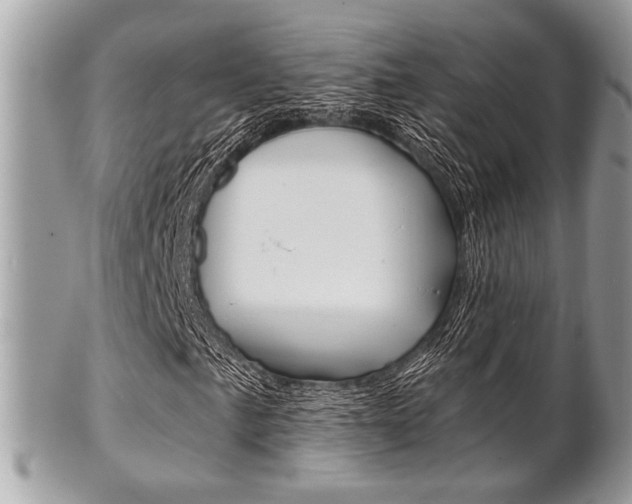 X0000101411057200807071001