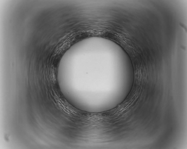 X0000101411058200807071001