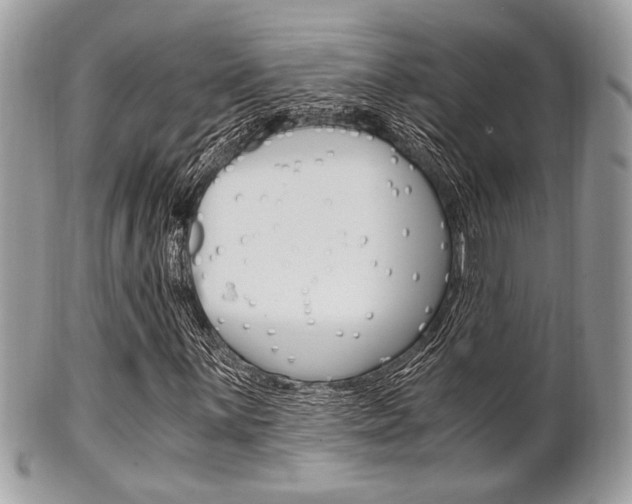 X0000101411059200807071001