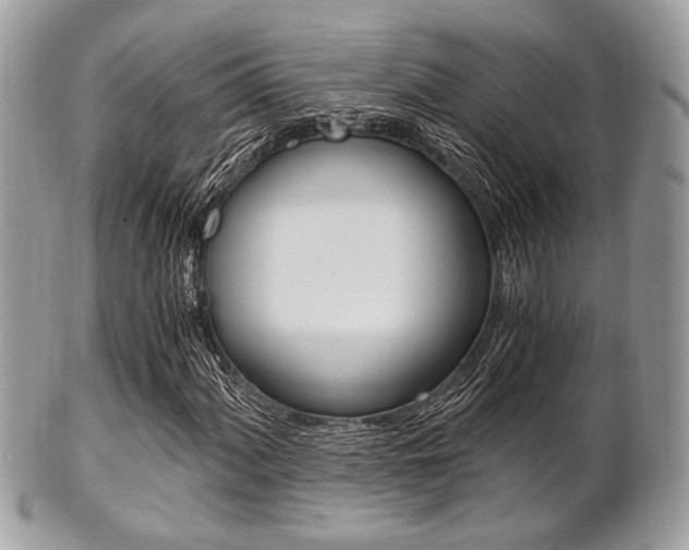 X0000101411060200807071001