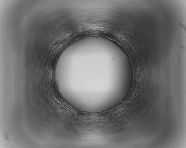 X0000101411061200807071001