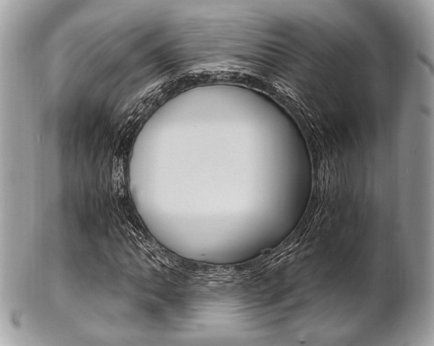 X0000101411062200807071001
