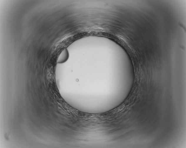 X0000101411063200807071001