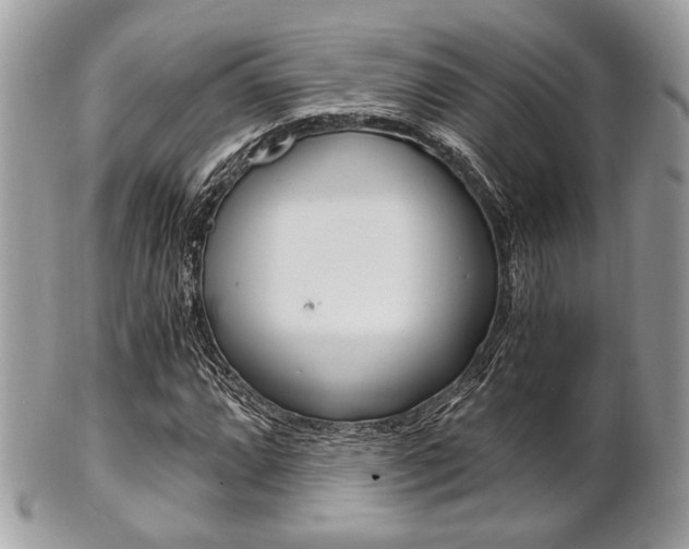 X0000101411064200807071001