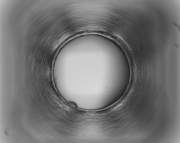 X0000101411065200807071001