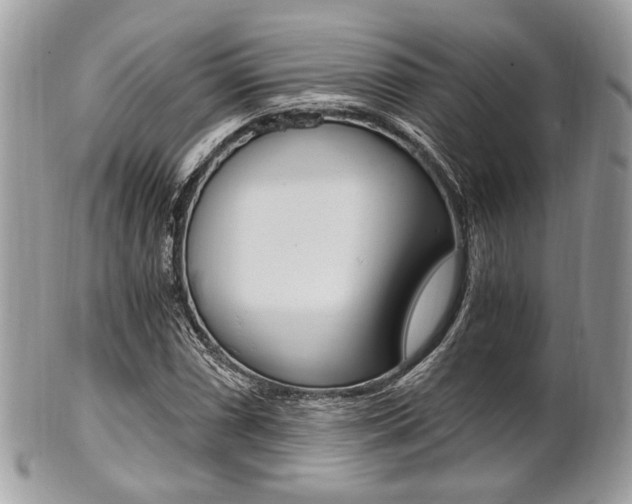 X0000101411066200807071001