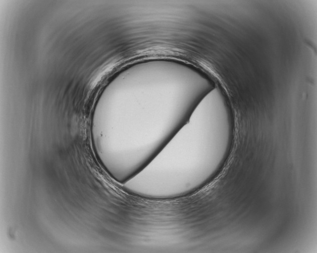 X0000101411067200807071001