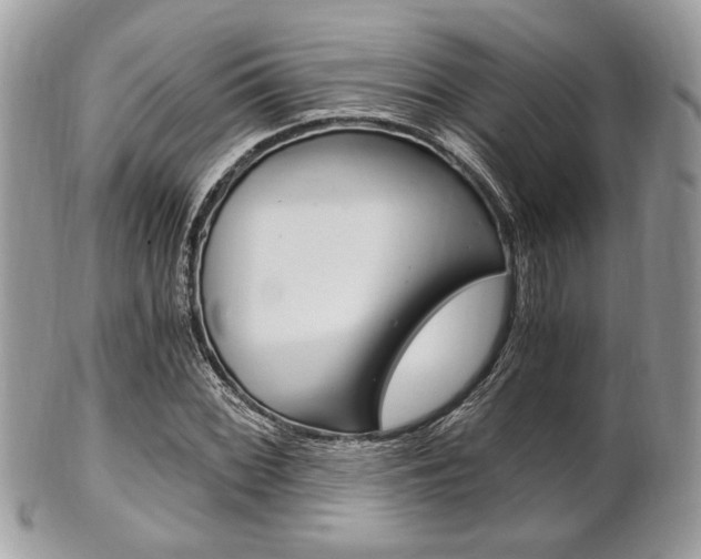 X0000101411068200807071001