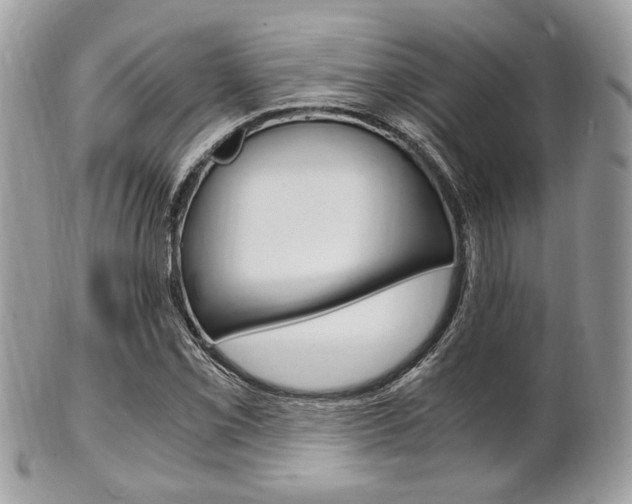 X0000101411069200807071001
