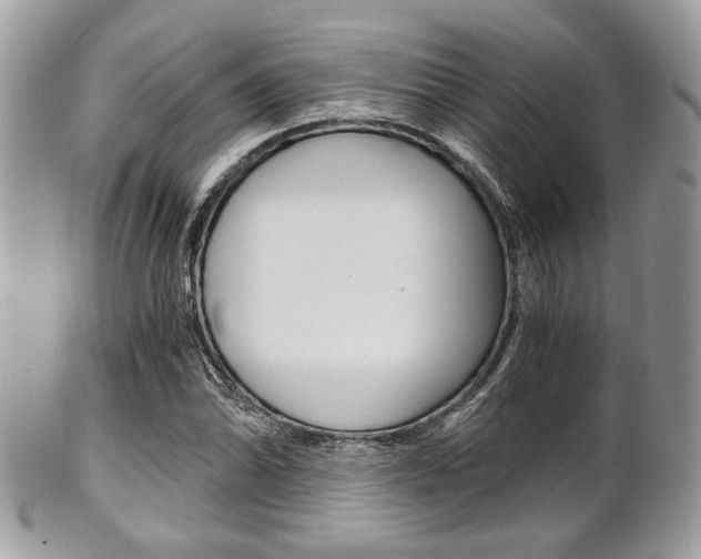 X0000101411070200807071001