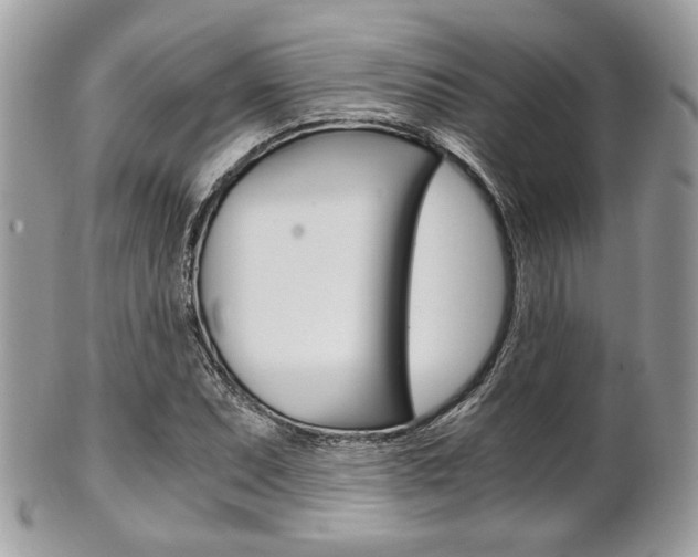 X0000101411071200807071001
