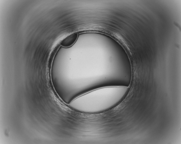 X0000101411072200807071001