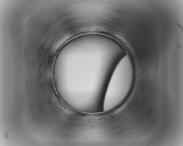 X0000101411073200807071001