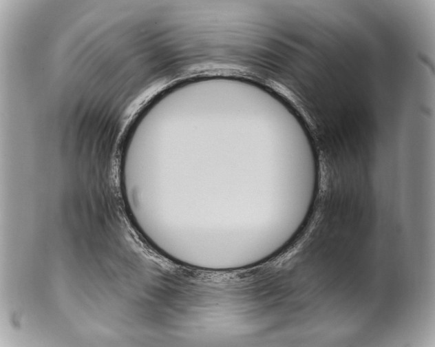X0000101411074200807071001