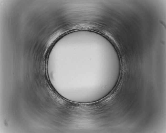 X0000101411075200807071001