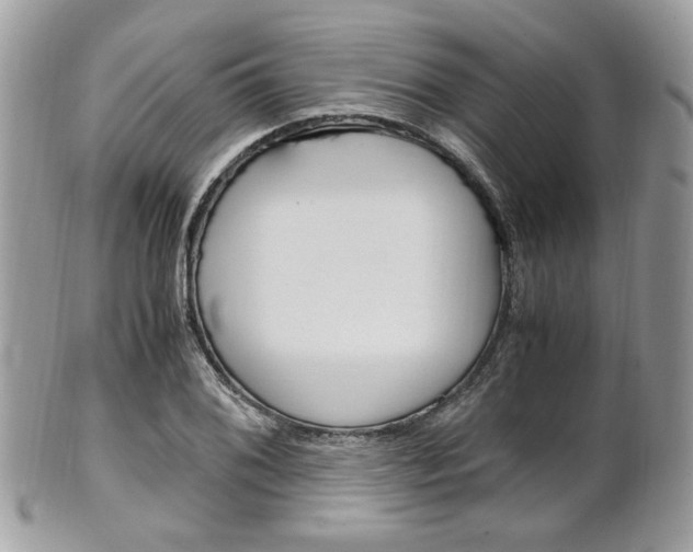 X0000101411076200807071001