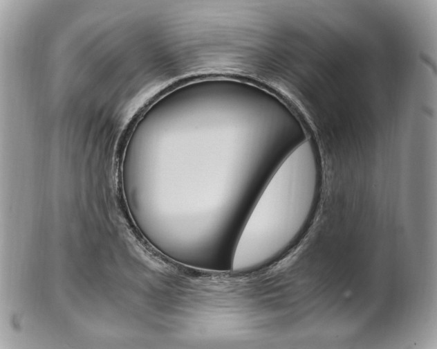 X0000101411077200807071001