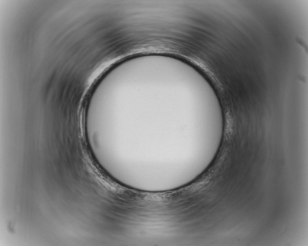 X0000101411078200807071001