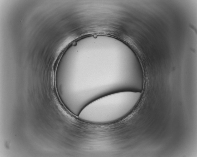 X0000101411079200807071001